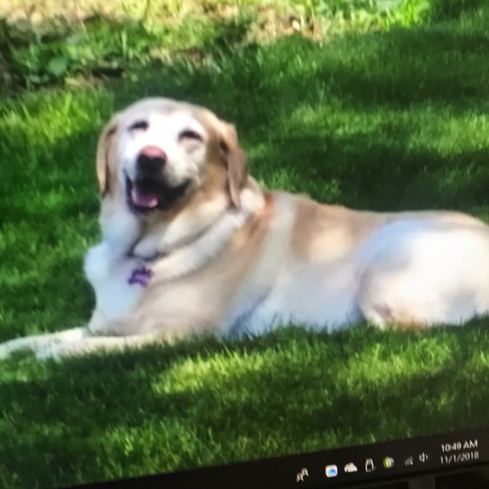 Meet your Posher, Patricia